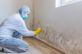 Lower Burrell, PA Mold Removal Company